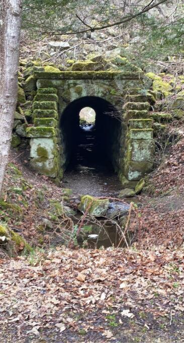 Sheppard'S Holler Vila Dingess Exterior foto